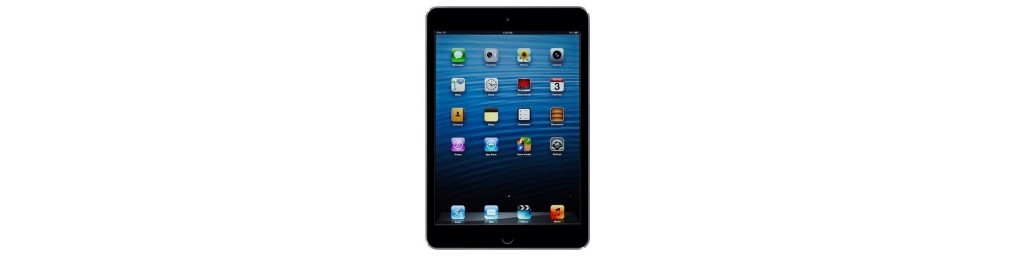 iPad (2nd Gen)